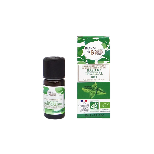Huile essentielle Basilic tropical Certifiée Bio
