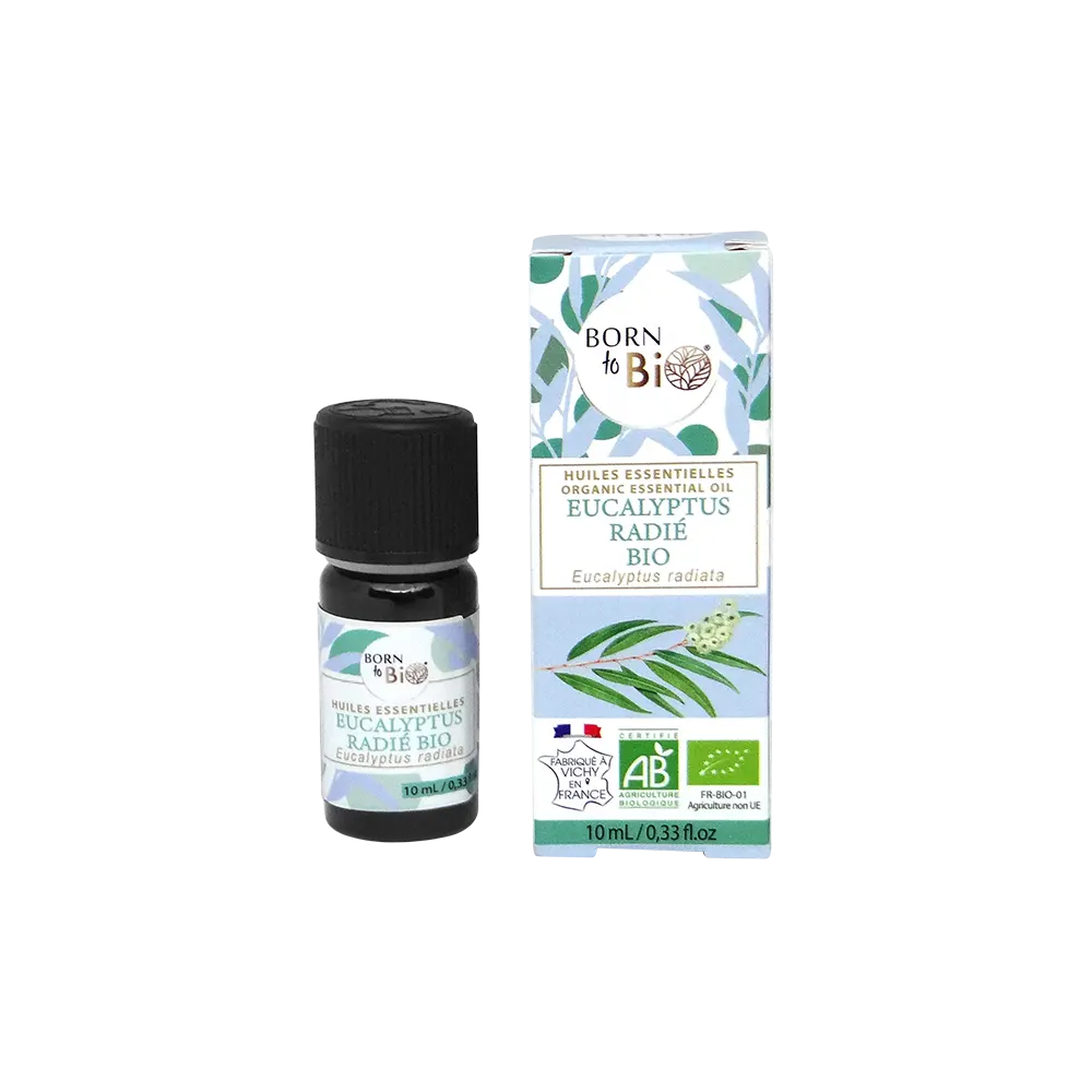 Huile essentielle Eucalyptus radié Certifiée Bio