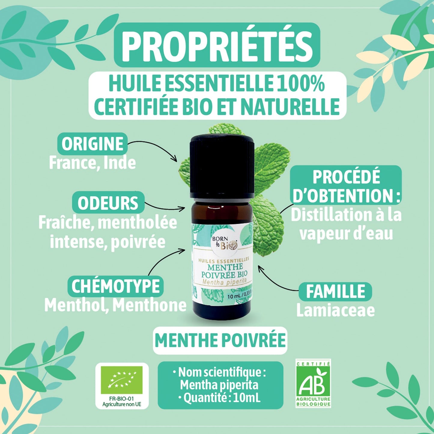 Huile essentielle Menthe poivrée Certifiée Bio