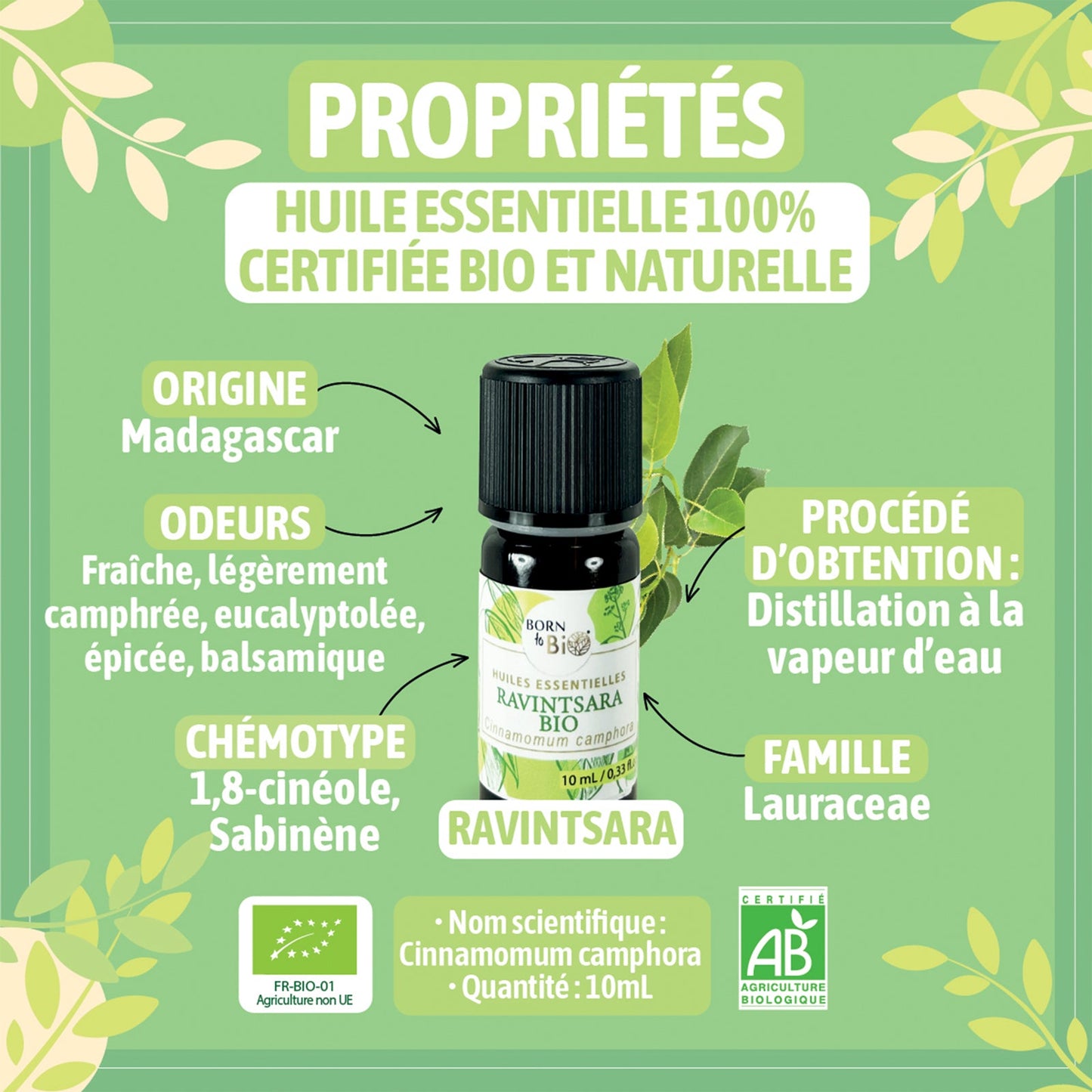 Huile essentielle Ravintsara Certifiée Bio